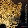 Wildlife 2010 Wall Calendar X108