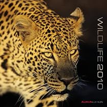 Wildlife 2010 Wall Calendar X108