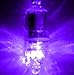 Elmax Deep Drop Fishing LED Lights (Purple)