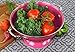 Calypso Basics by Reston Lloyd Powder Coated Enameled Colander, 3 Quart, Magenta