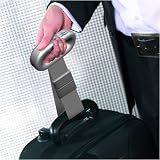Kitchen & Housewares : Salter Luggage Scale, Silver