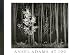 Ansel Adams at 100 : A Postcard Folio Book