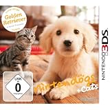 Nintendo 3DS