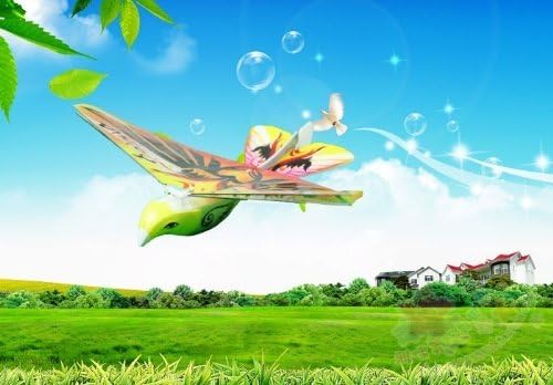 Amazing Flapping-Wing Aircraft R/C Flying Robot E-Bird Toy