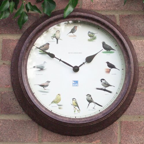RSPB Garden Birds Clock