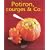 Potirons, courges et Co