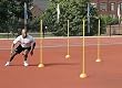 Agility Poles