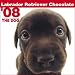 Chocolate Labrador Retriever The Dog 2008 Wall Calendar
