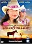 Wild Stallion