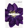 In Search of Lost Time: Time Regained AND a Guide to Proust v. 6 (Vintage Classics)