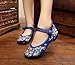 AvaCostume Women's Chinese Embroidery Casual Mary Jane Travel Walking Shoes Blue 40