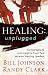 Books : Healing Unplugged: Conversations and Insights from Two Veteran Healing Leaders