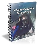 A Beginner's Guide to Scuba Diving