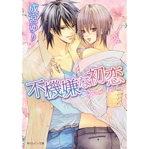 �s�@���ȏ��� (�p�샋�r�[����)