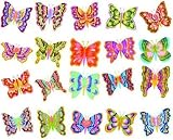 Embroidery Machine Designs CD BUTTERFLIES #7