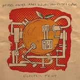 Mary Halvorson Electric Fruit