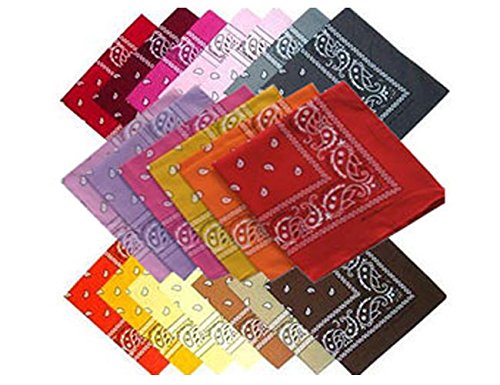 Bandana - Paisley - Classic Paisley Bandana