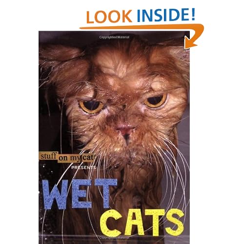Wet Cats