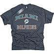 Miami Dolphins NFL Football T-Shirt