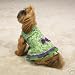 Tiered Ruffle DOG Sundress SMALL