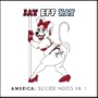 Vol. 1-America: Suicide Notes
