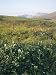 Landscape Near Ancient Village of Itygran, Chukchi Peninsula, Russian Far East, Russi...