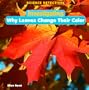 Investigating Why Leaves Change Their Color (Science Detectives)