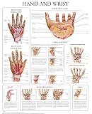 Hand and wrist e-chart: Quick reference guide