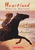 A Summer To Remember (Heartland)