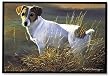 Jack Russell Terrier Puppy Dog In Field Doormat Rug