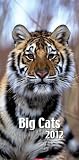 Produkt-Bild: Big Cats 2012
