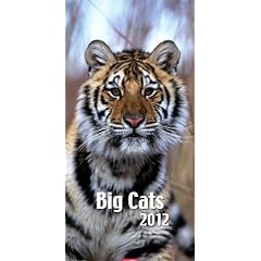 Big Cats 2012