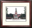 University of North Texas Alumnus Alumnus 14x18 Mahogany Framed Collegiate Lithograph