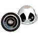 Chopper Series 12" 2400-watt peak power DVC Subwoofer
