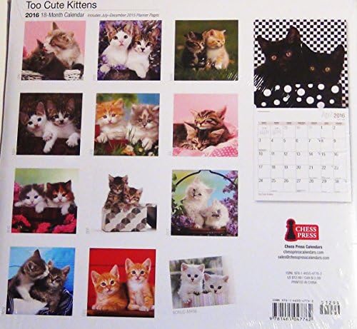 Too Cute Kittens 18-Month 2016 Wall Calendar (12 x 12)