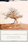 The Poetry of the American Civil War