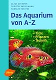 Buch