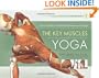 The Key Muscles of Yoga: Scientific Keys, Volume I