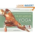 The Key Muscles of Yoga