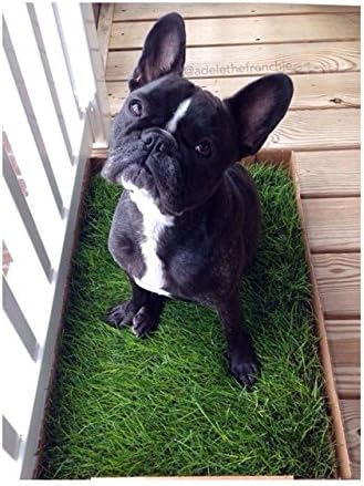 Fresh Patch Subscription (1 Month) - As Seen on SHARK TANK