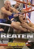 Cyberfights: Beaten: Wrestling Like It Ought to Be