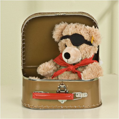 51mZcpzAD5L 11 Pirate  Fynn Teddy Bear in Pirate Suitcase