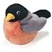 Plush Robin Audubon Bird 5"