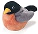 Plush Robin Audubon Bird 5
