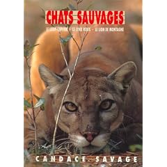 Les chats sauvages