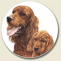 Irish Setter Auto Coaster, Single Coaster for Your Car