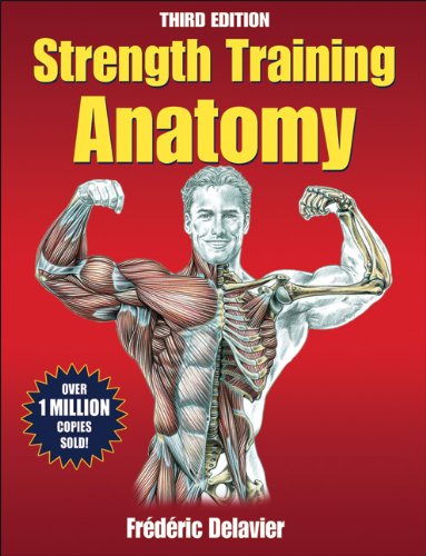 Strength Training Anatomy-3rd Edition (Sports Anatomy)