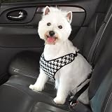 SML / MEDIUM - BLACK - Houndstooth Car Harness