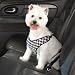 PINK - Houndstooth Car Harness LARGE - BLACK