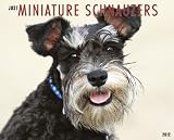 Just Miniature Schnauzers 2012 Calendar (Just (Willow Creek))